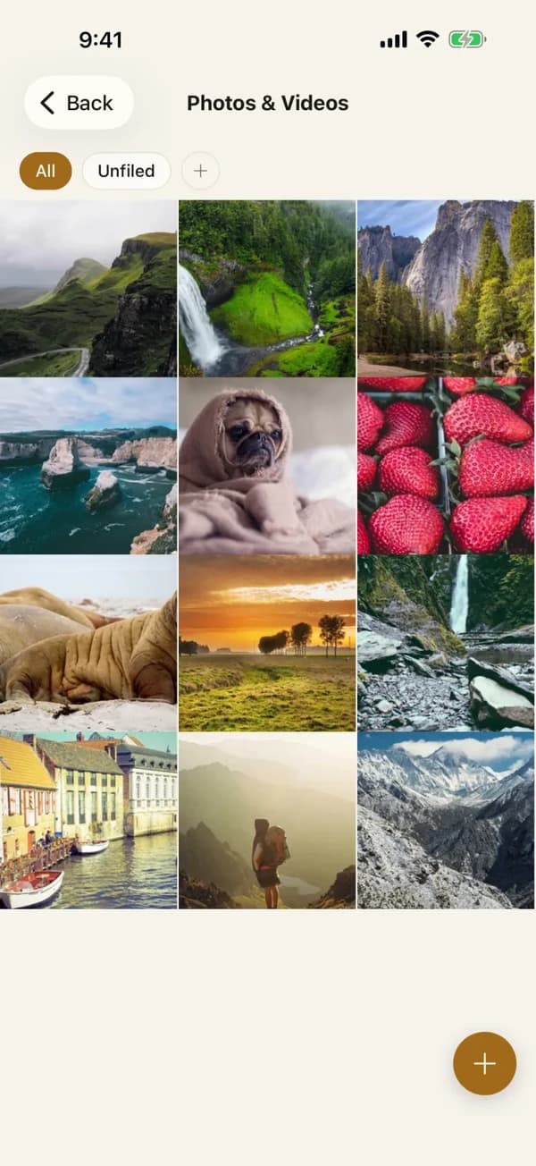 Lockboxy's Media tab showing photos and videos stored inside the app's encrypted vault.